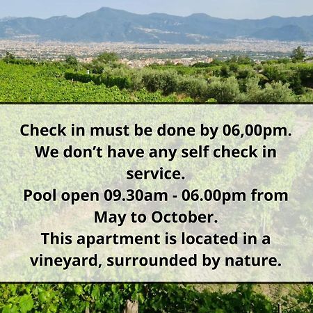 Vesuvio Inn Guest House E Wine Experience Boscotrecase Exterior photo