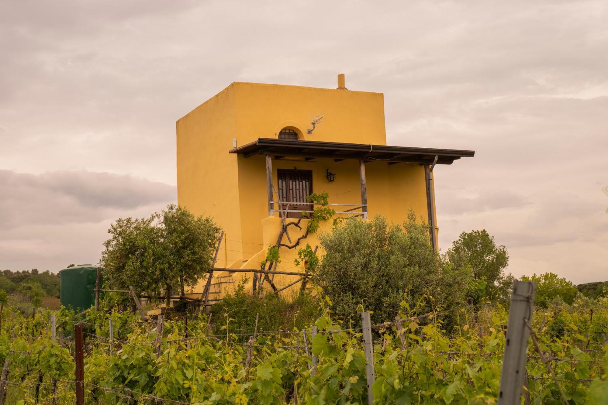 Vesuvio Inn Guest House E Wine Experience Boscotrecase Exterior photo
