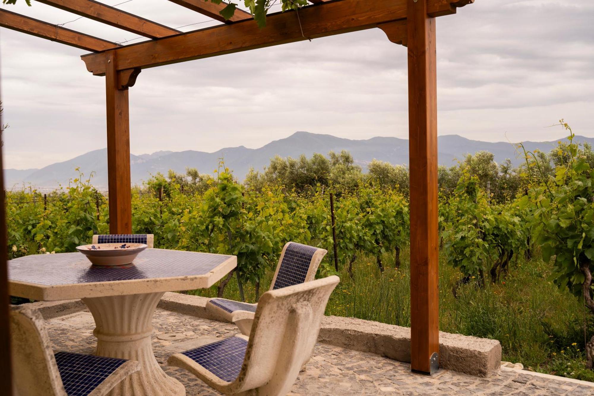 Vesuvio Inn Guest House E Wine Experience Boscotrecase Exterior photo