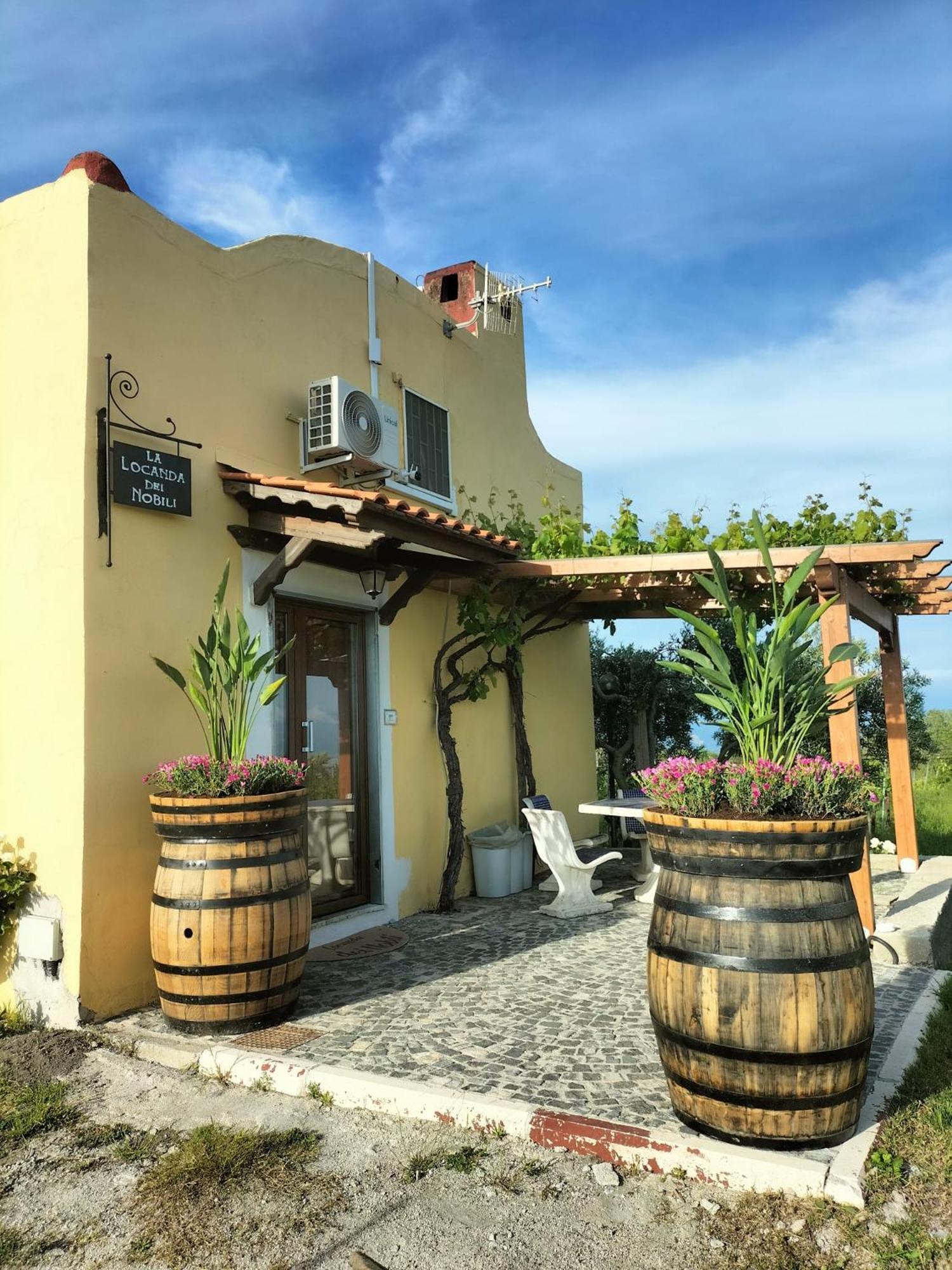 Vesuvio Inn Guest House E Wine Experience Boscotrecase Exterior photo